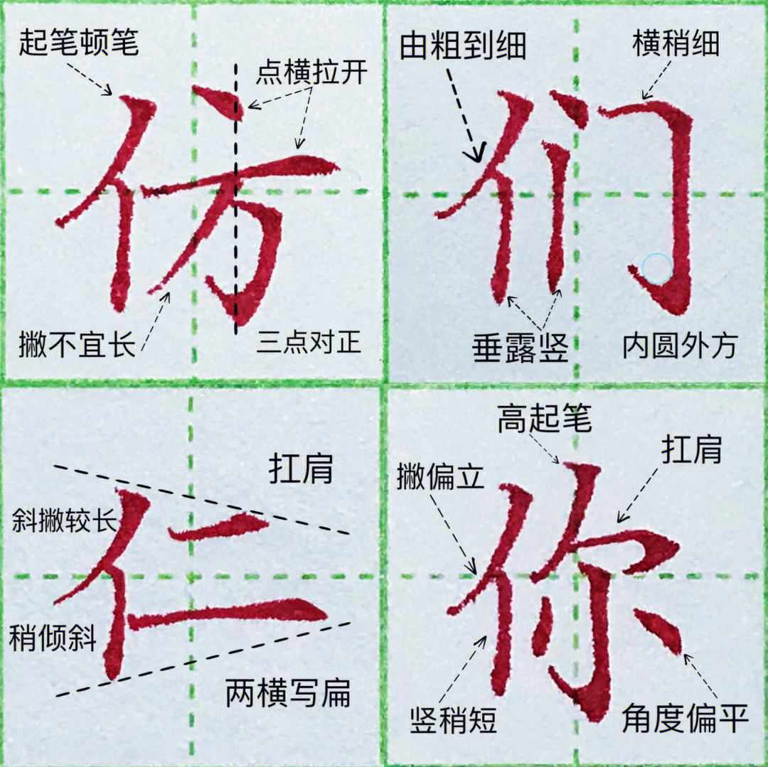 硬笔楷书单人旁例字