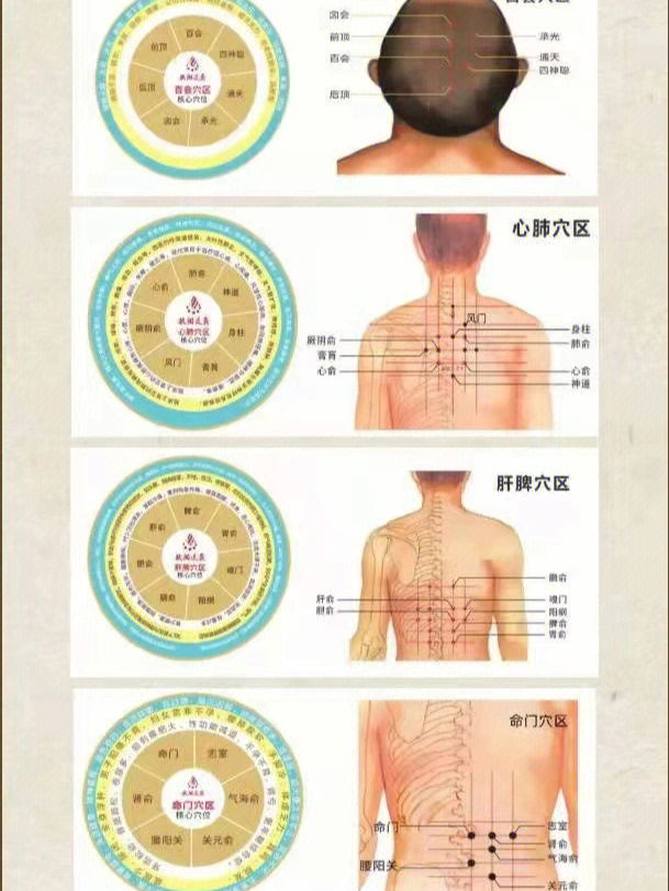 76艾灸背部生阳气通经络疾病消