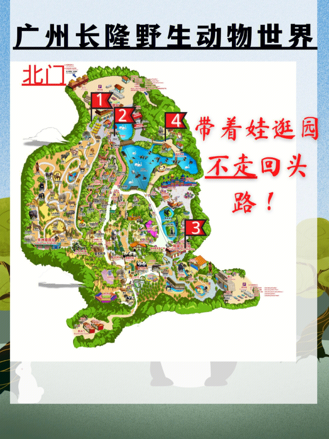 广州长隆野生动物园亲子游玩指南