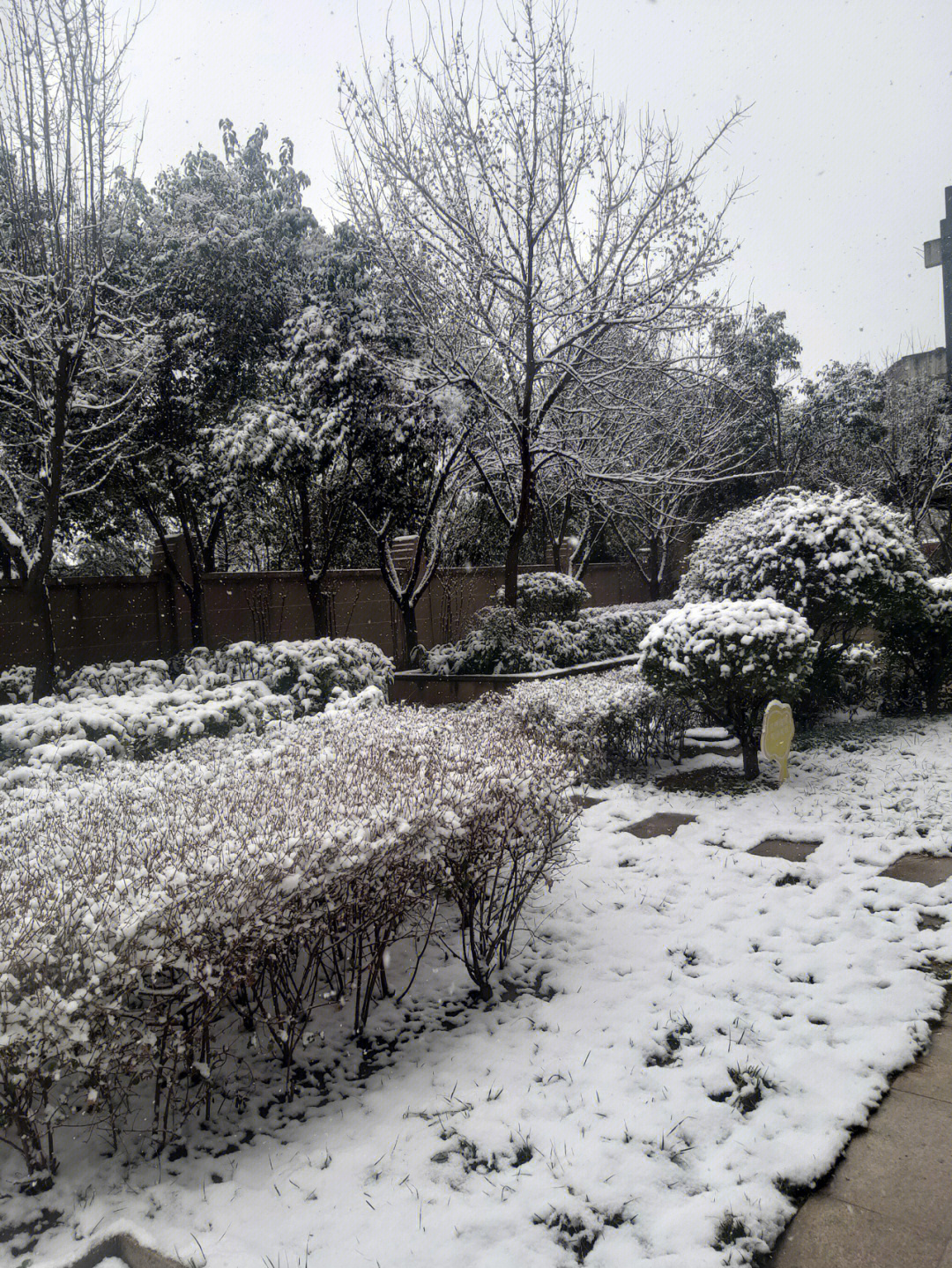 小区院内的雪景