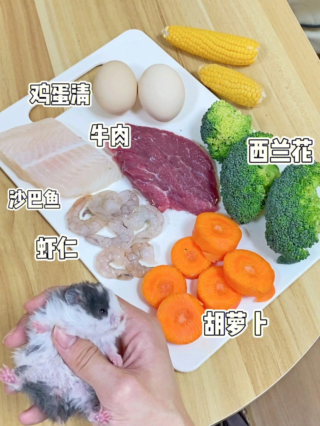 金丝熊辅食这样做