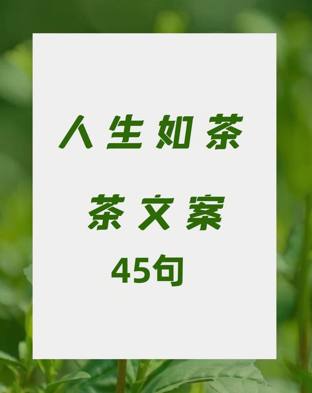 茶文案45句人生如茶文案码住发朋友圈60