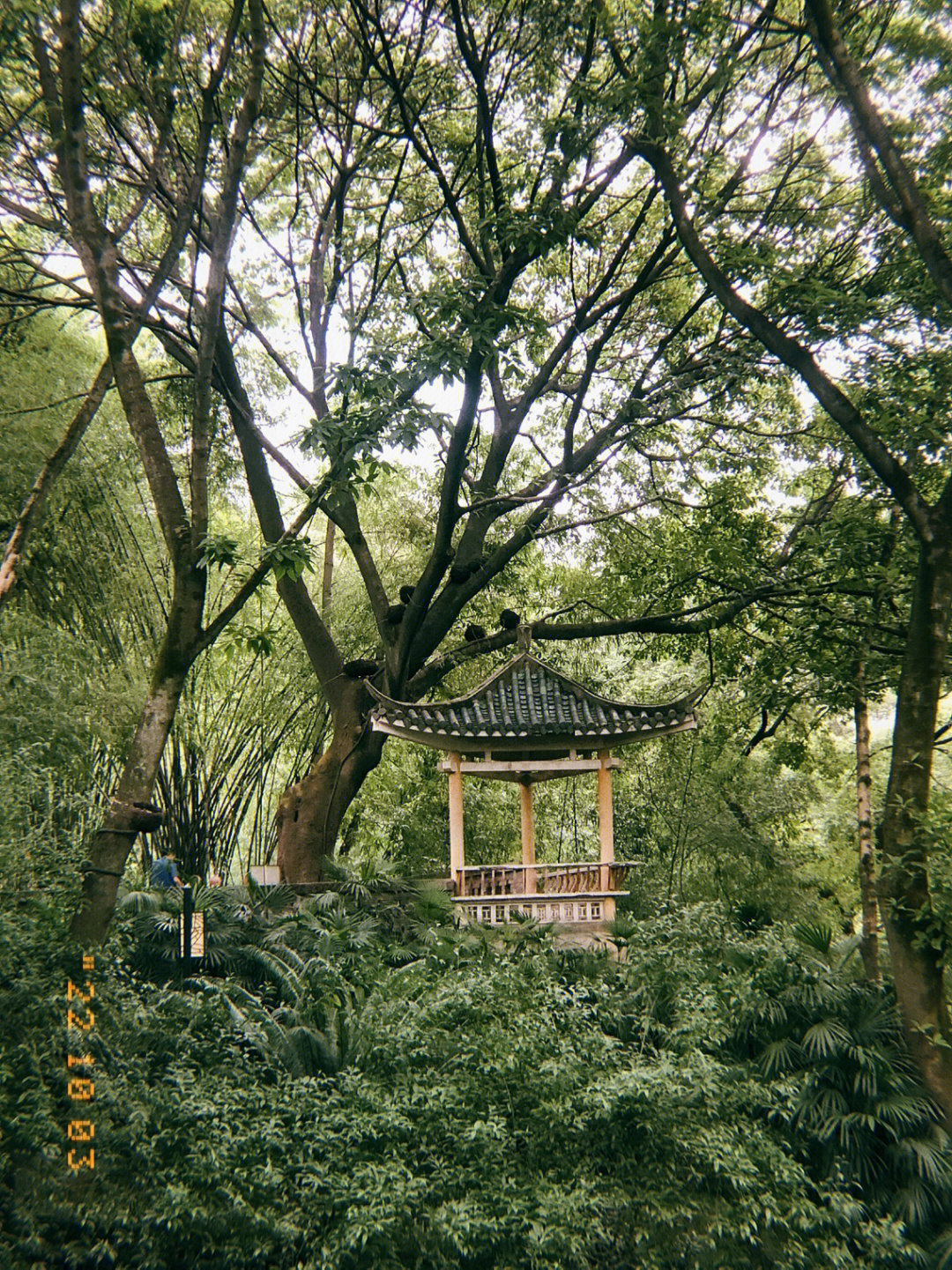 重庆鹅岭公园