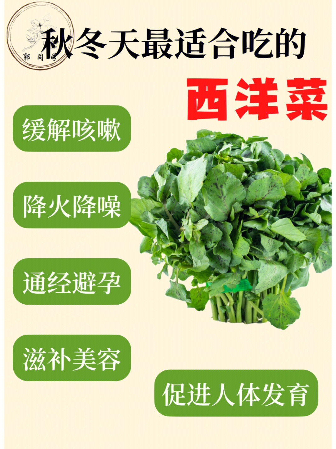 台湾西洋菜营养价值图片