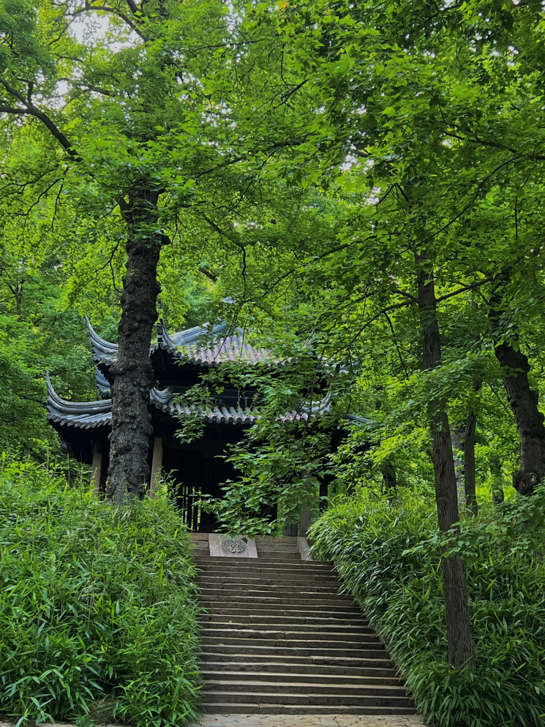 贵港天平山图片