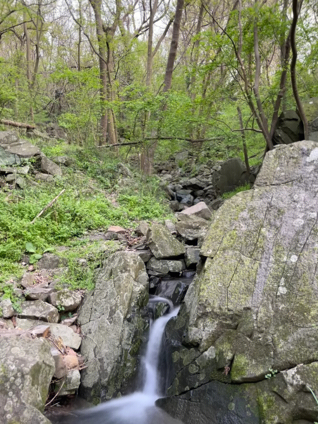 若是江南赶上春合肥大蜀山野道踏青