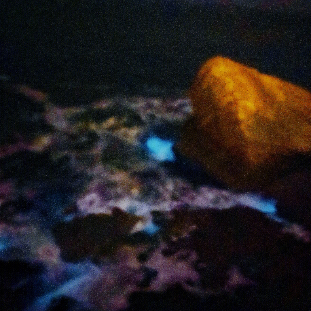 威海的荧光海只能用肉眼看