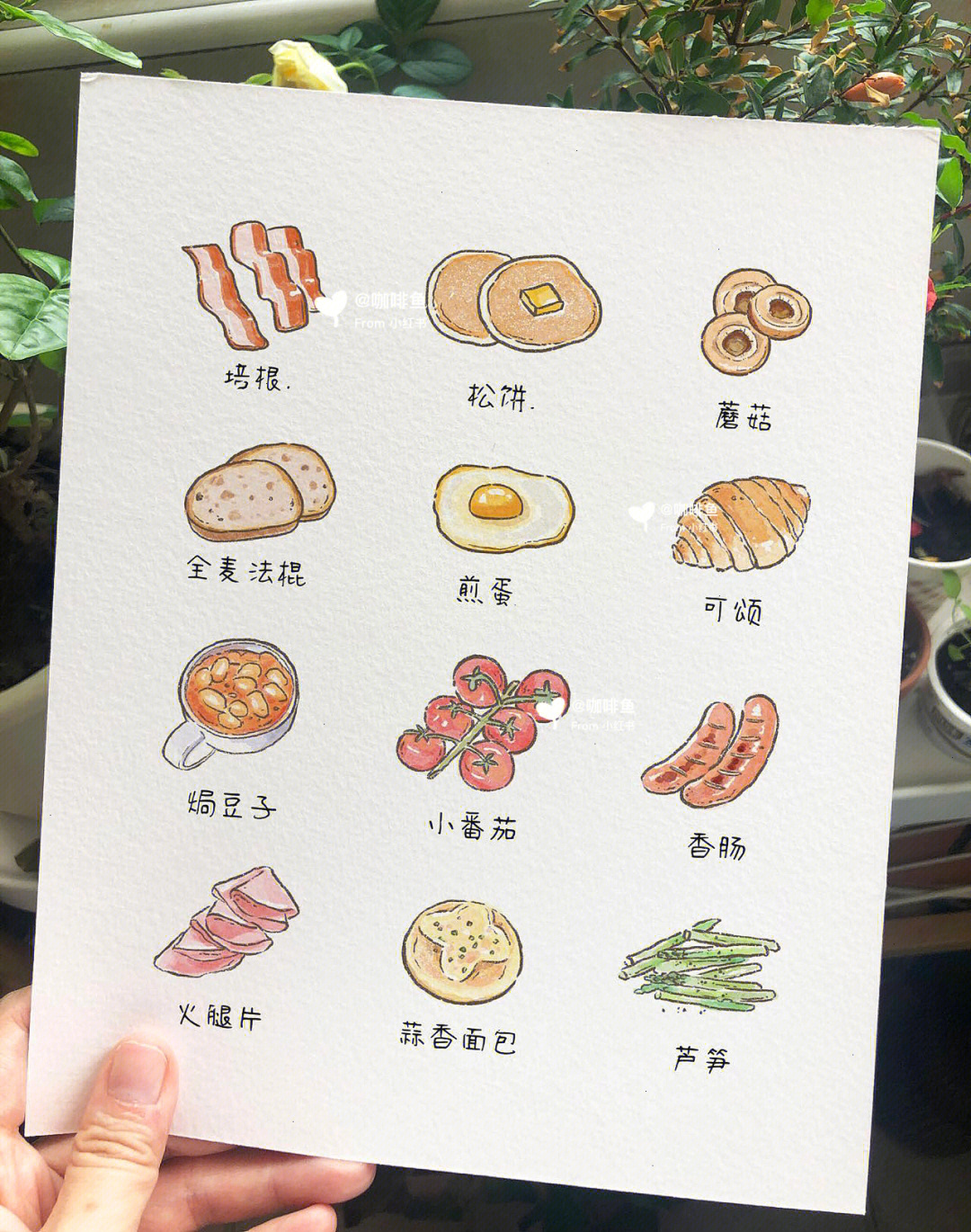 ipad画可爱小食物原创手绘菜单美食插画
