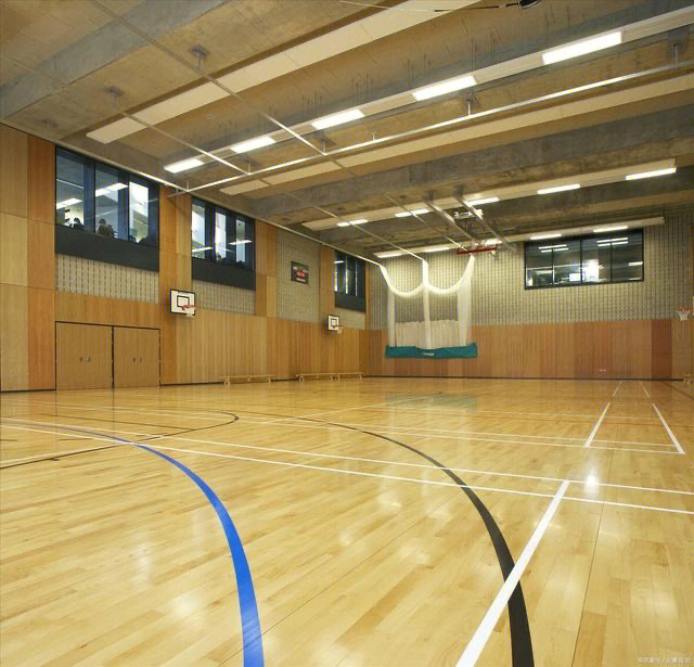 汕头室内排球场地板地板安装_安装篮球馆木地板_篮球砸地板进球