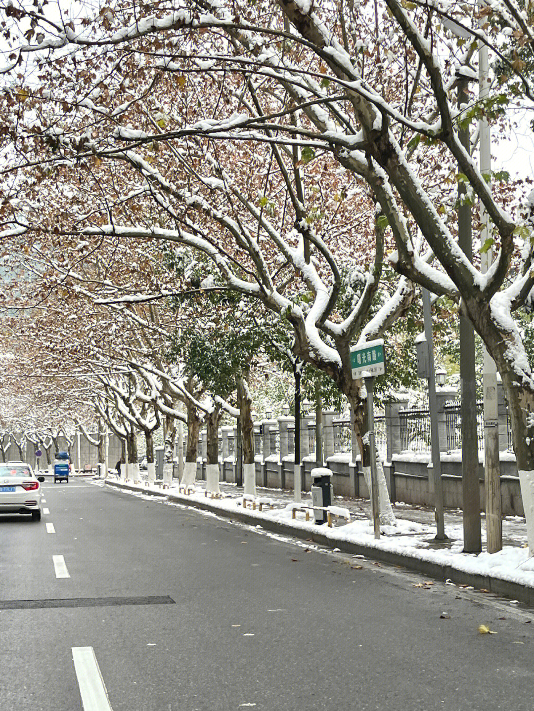 条道边的梧桐,开车过去是真的好好看啊家人们#长沙#长沙下雪#雪景