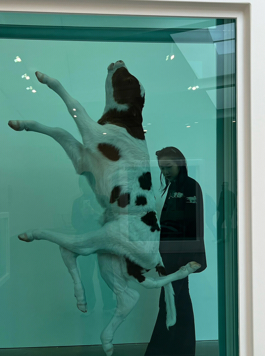 damienhirst图片