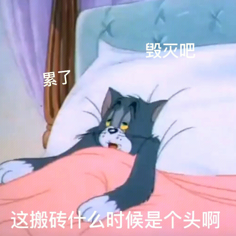 猫和老鼠小鸟表情包图片