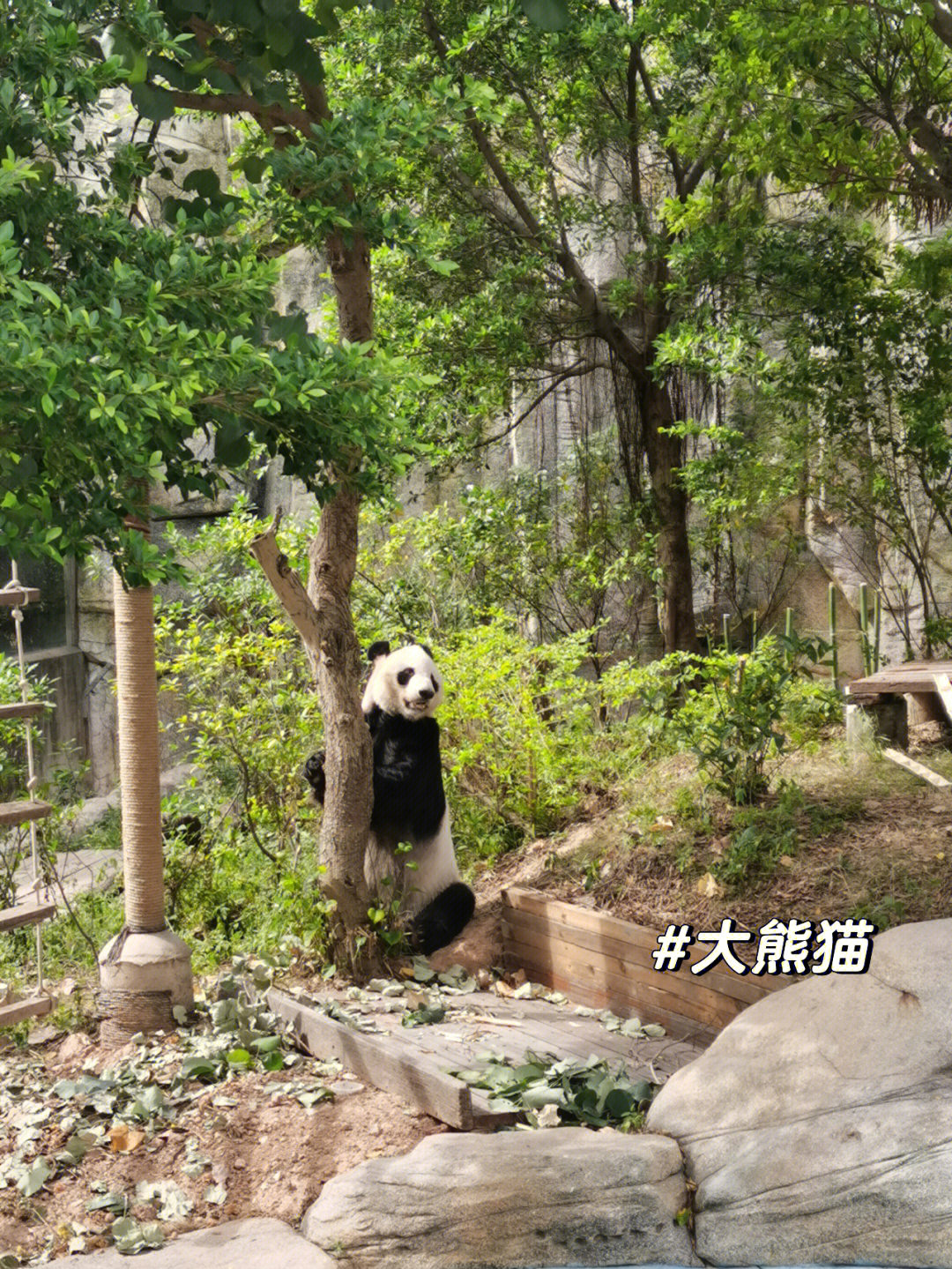 香市动物园攻略图片