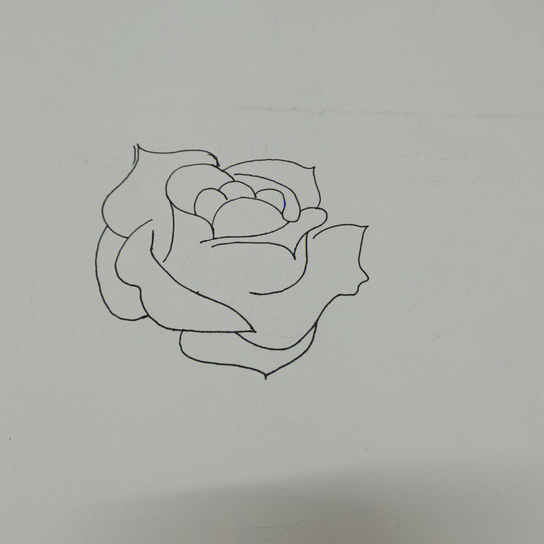 玫瑰花图画教程图片