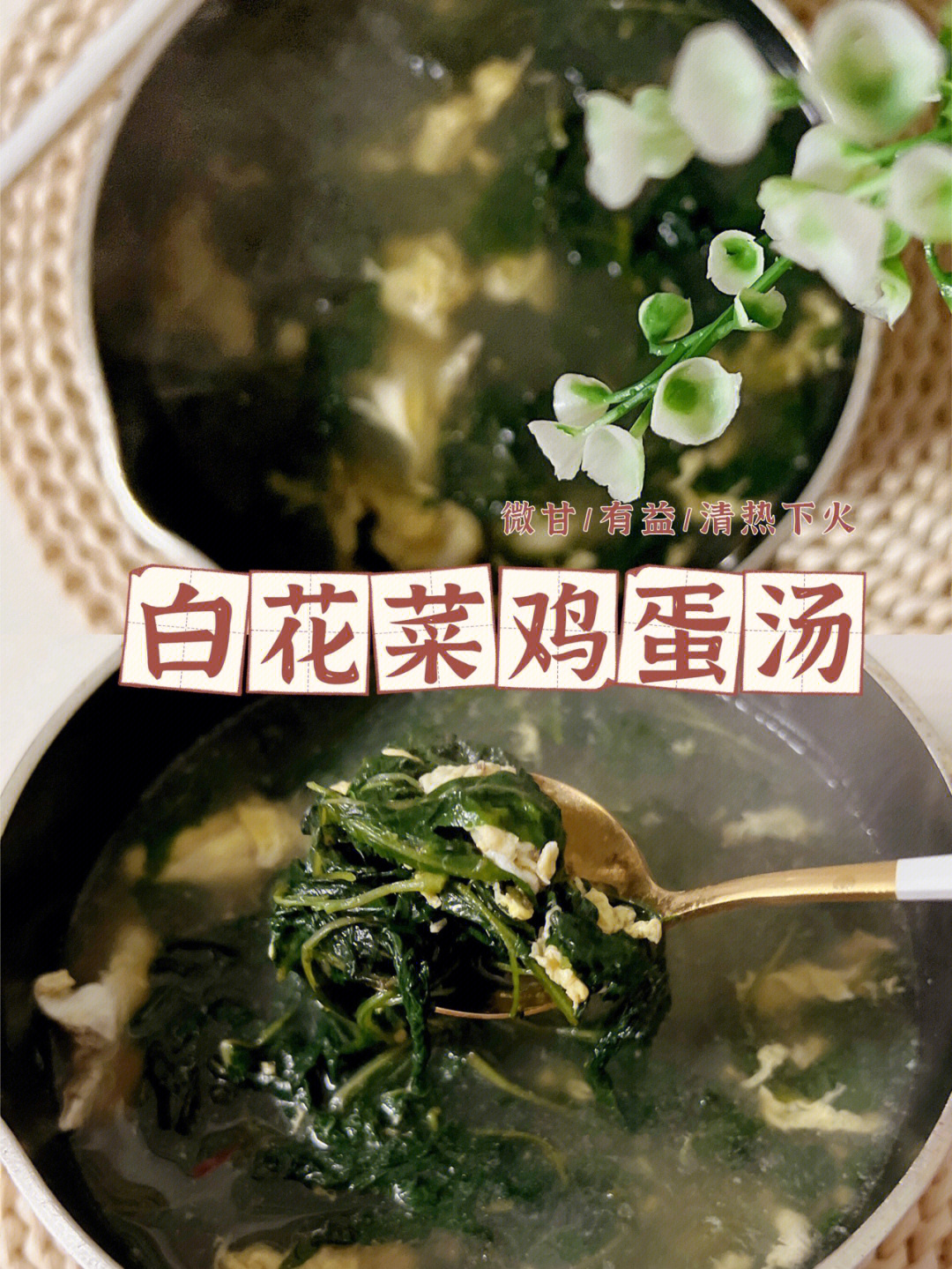 白花菜瘦肉汤 功效图片