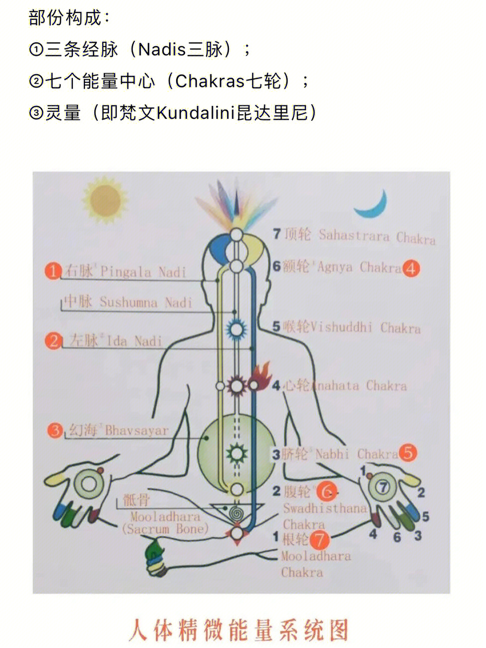 人体的能量系统(subtle system)简释人类虽有肤色种族的不同,但这些都