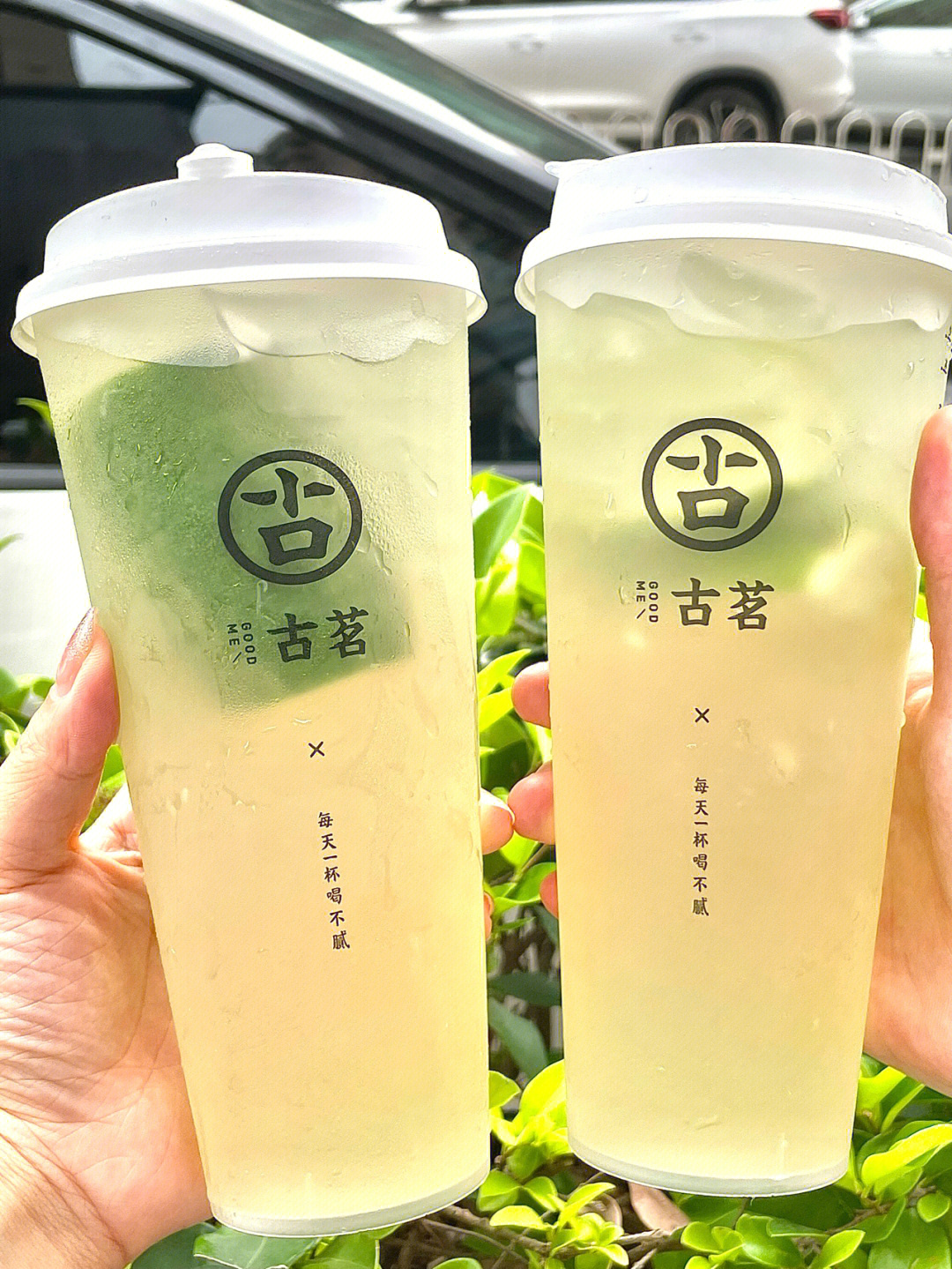 古茗招牌柠檬茶图片