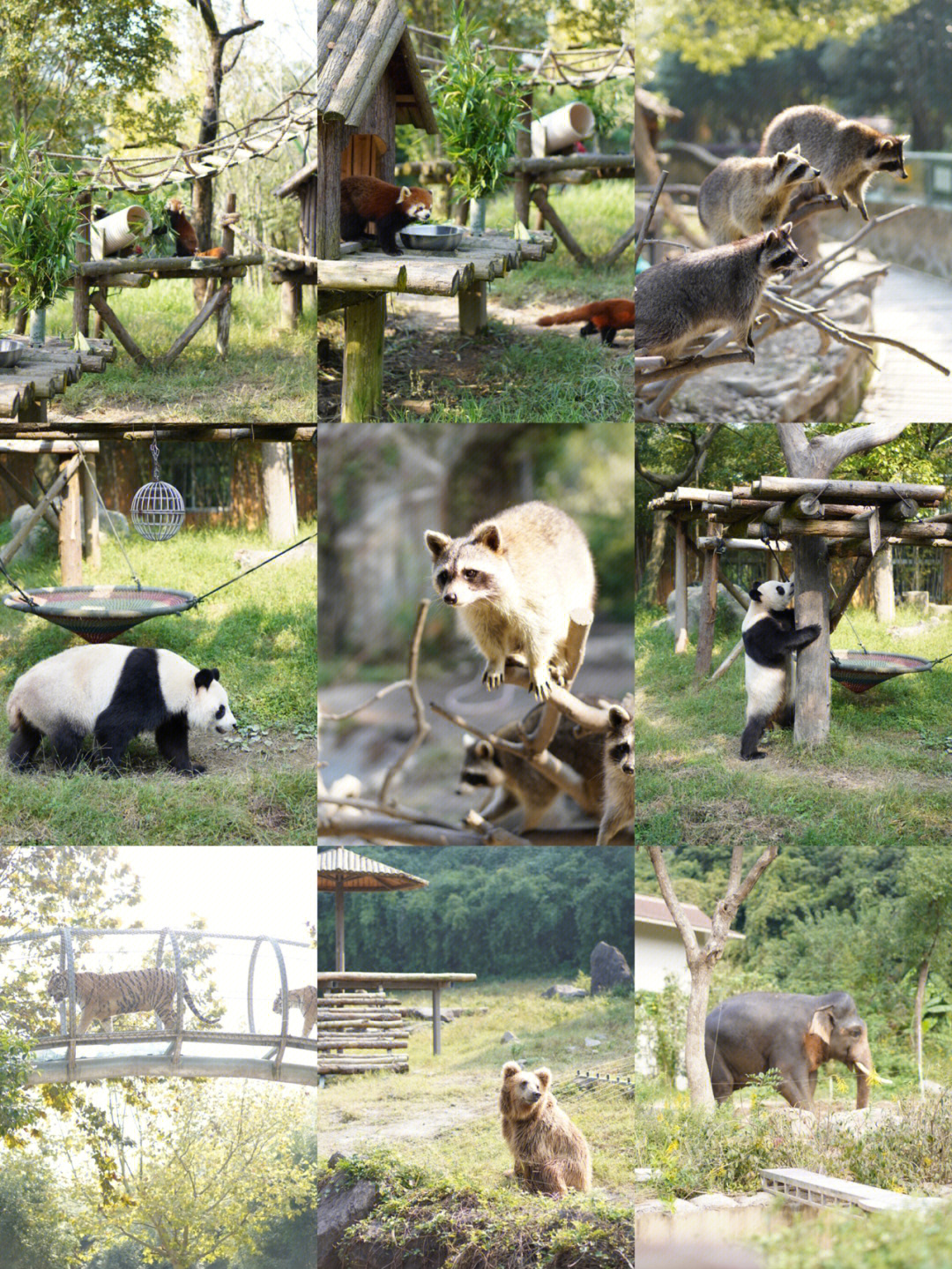利辛县动物园图片