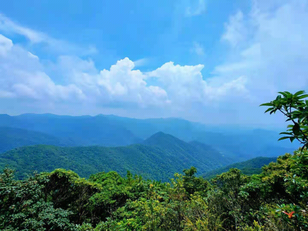 广州员村山顶图片