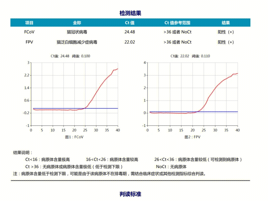 猫瘟怎么治疗图片