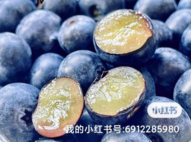 蓝莓果肉的正常颜色图片