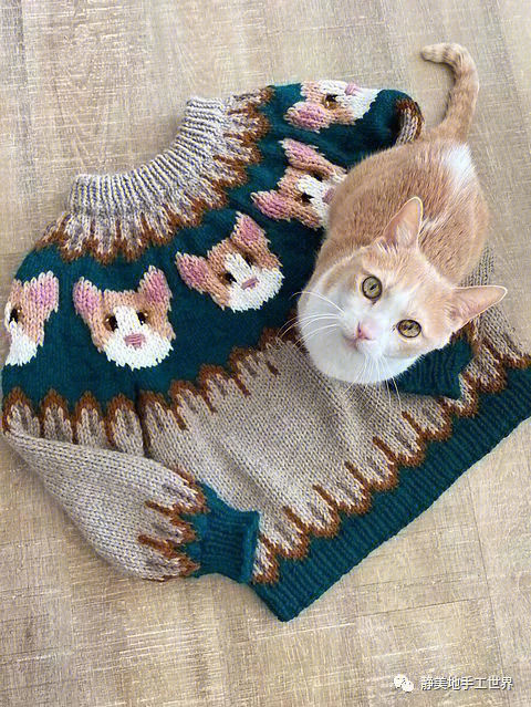 毛衣编织小猫图解图片