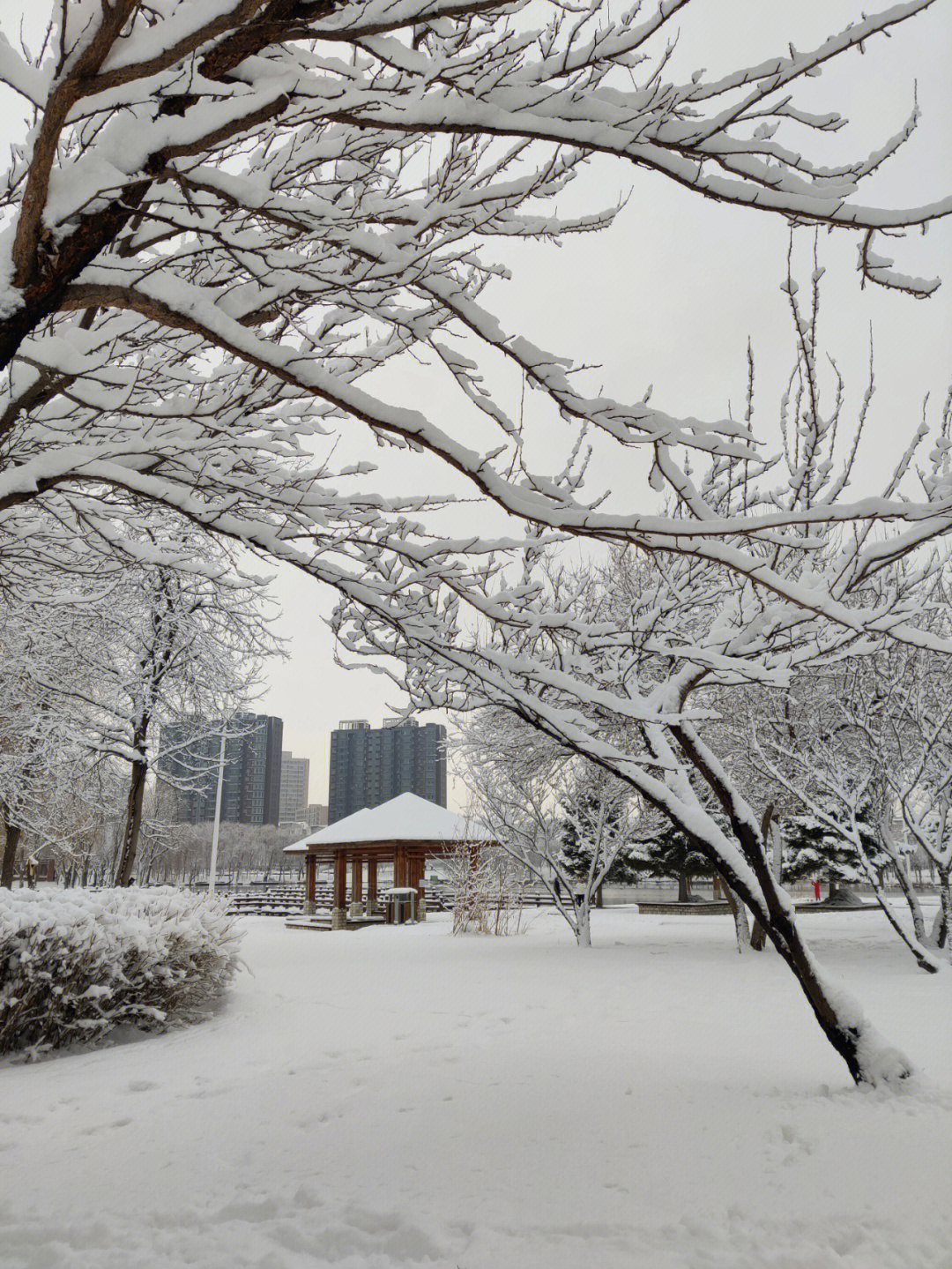 雪景美如画