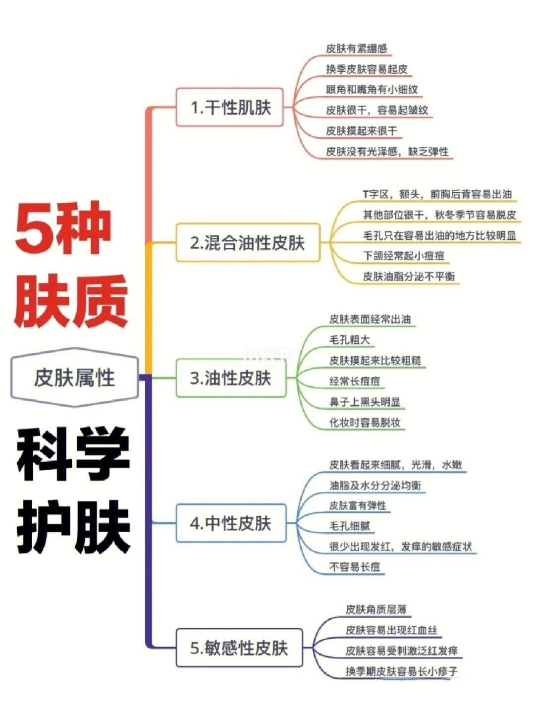 化妆品分类思维导图图片