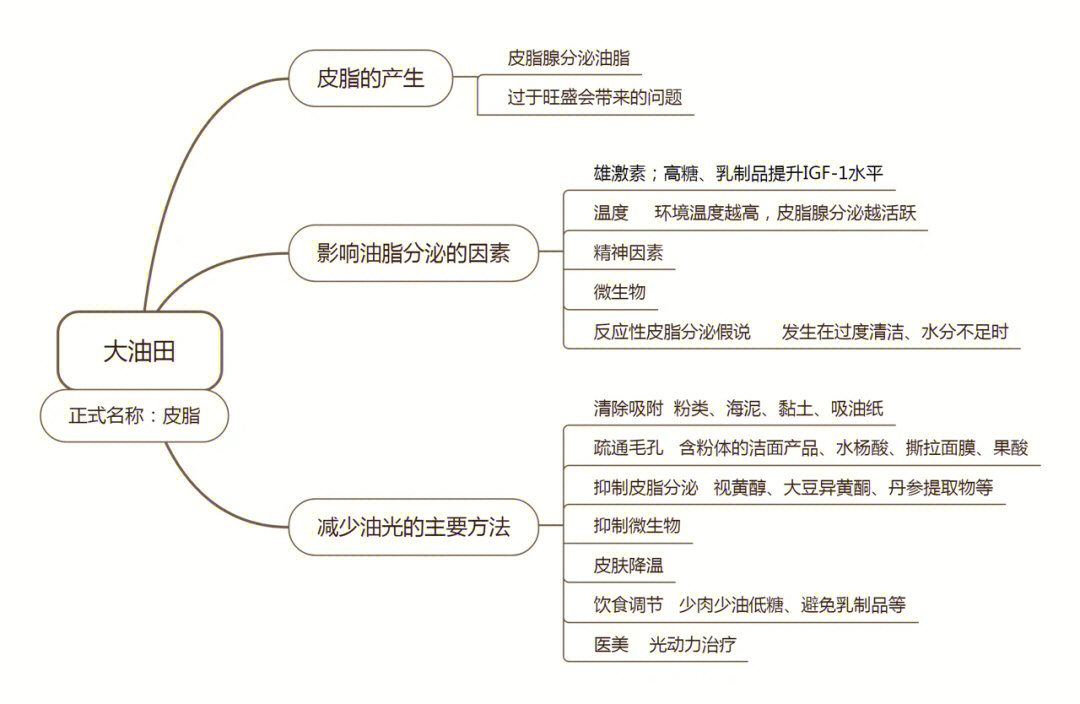 上皮组织思维导图简单图片