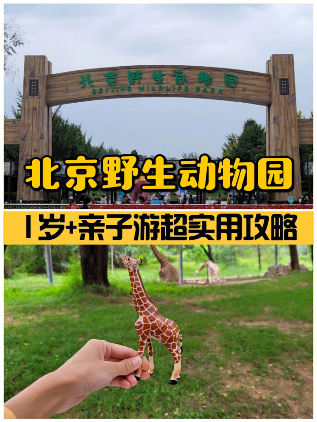 亲子游北京野生动物园1岁超实用攻略