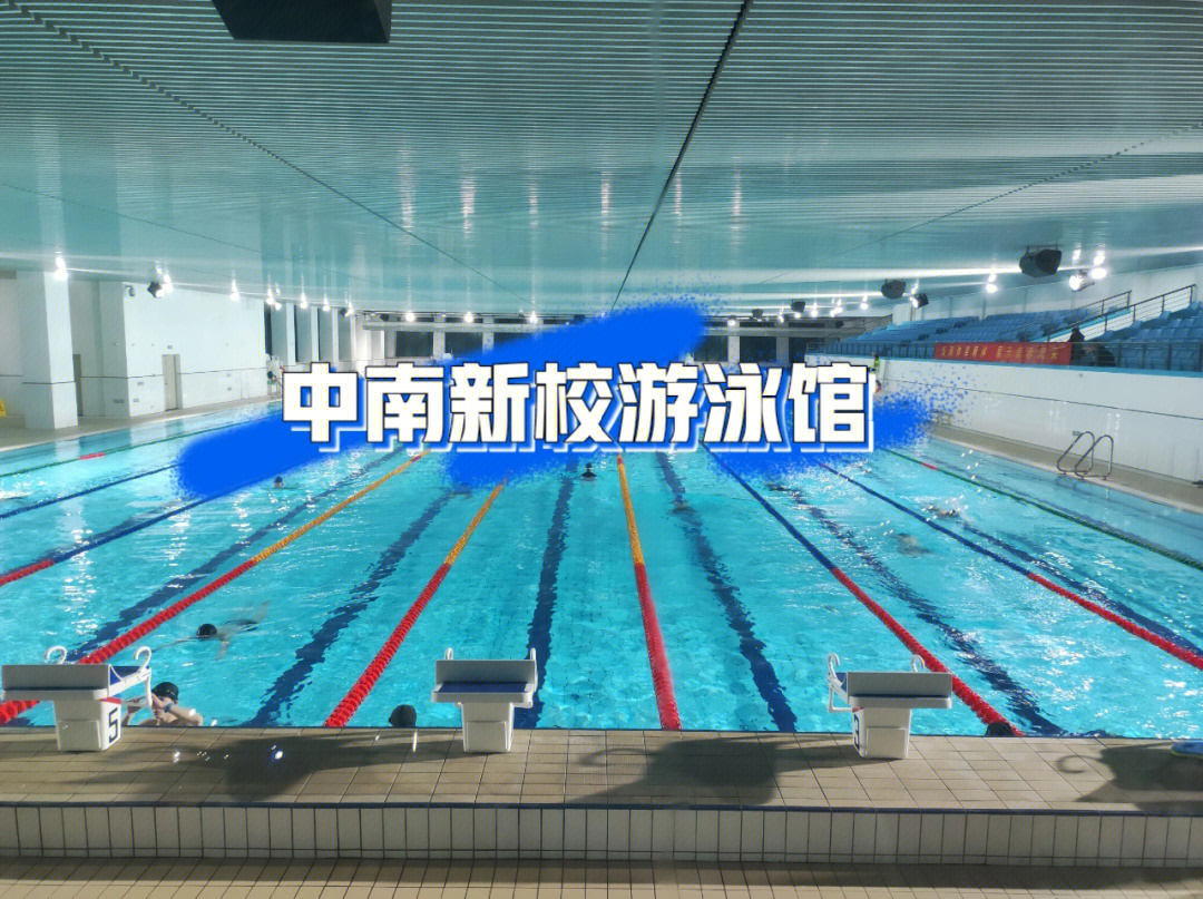 中南民族大学游泳馆图片