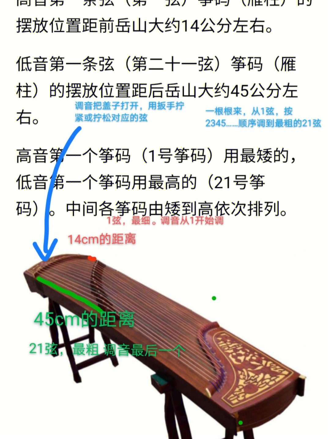 古筝高低音区图片