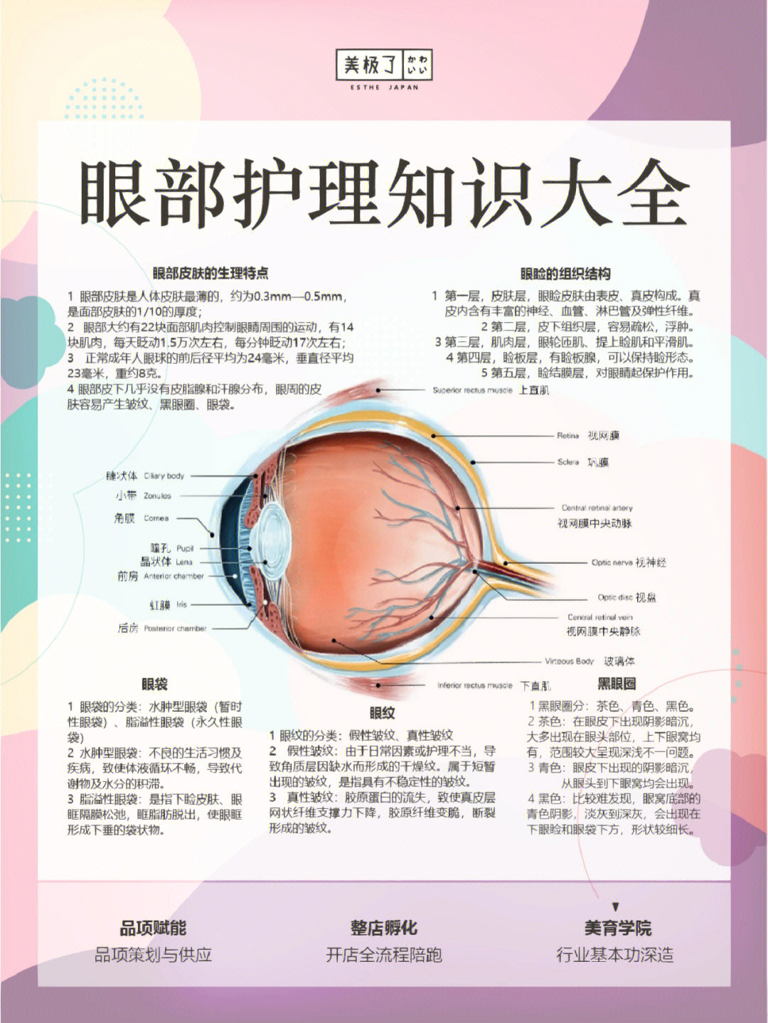 太全了关于眼部护理的知识都在这了