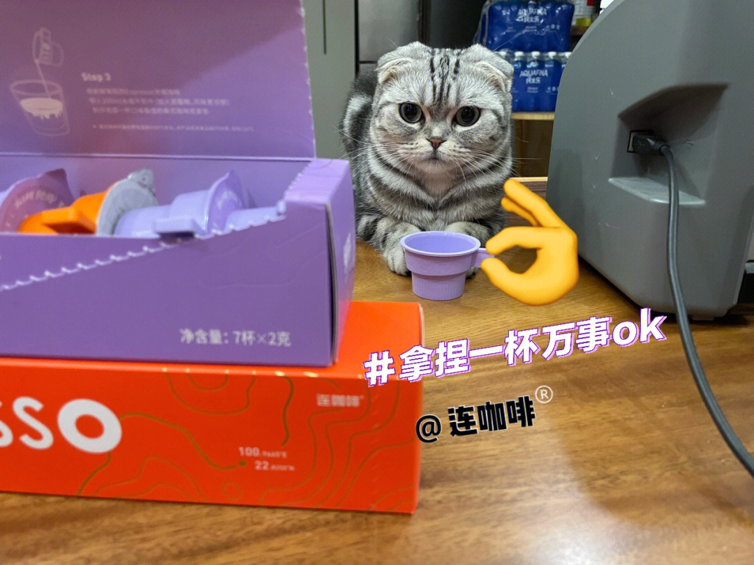 小猫咪也爱连咖啡