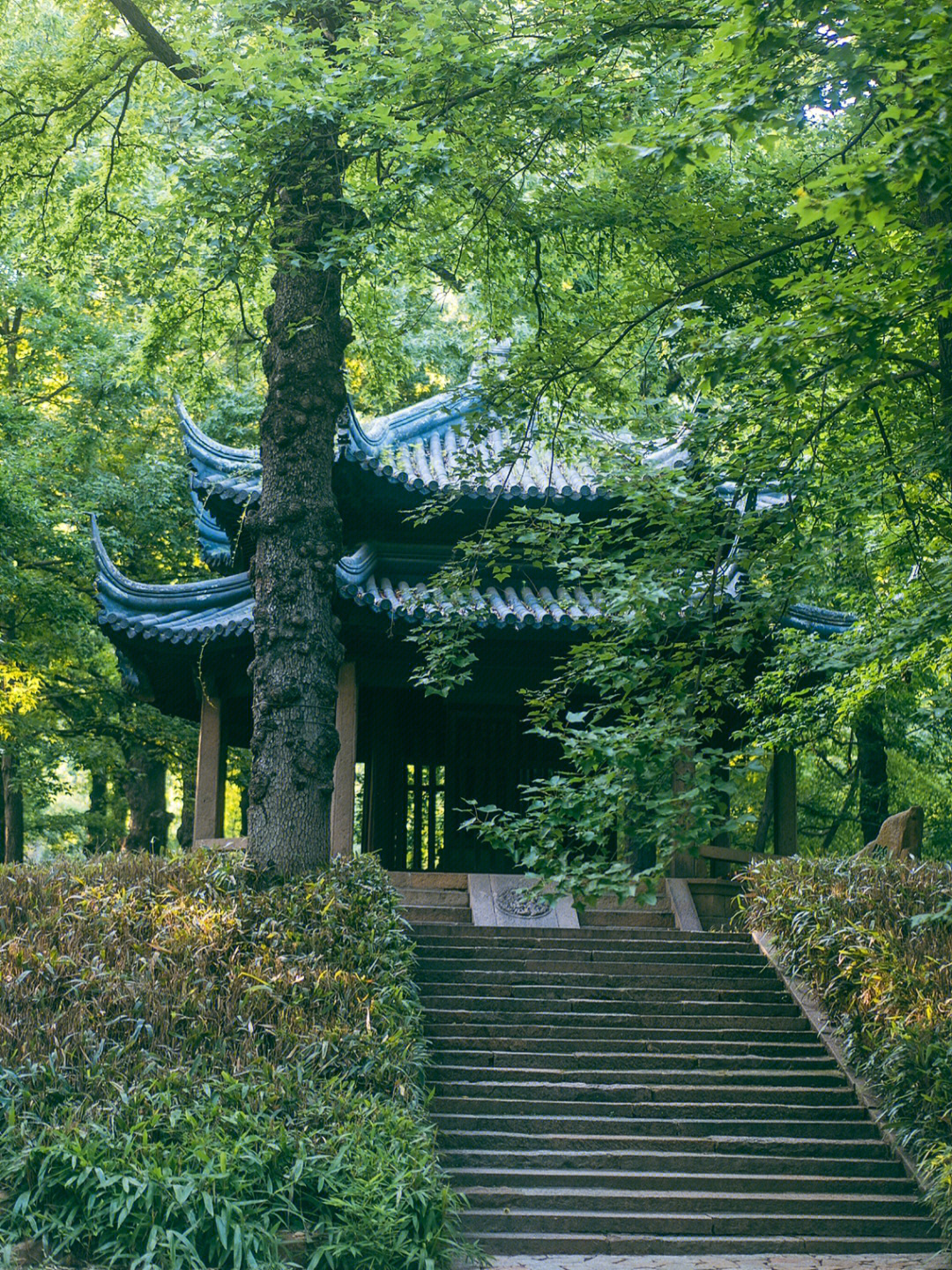 重庆市天平山风景区图片