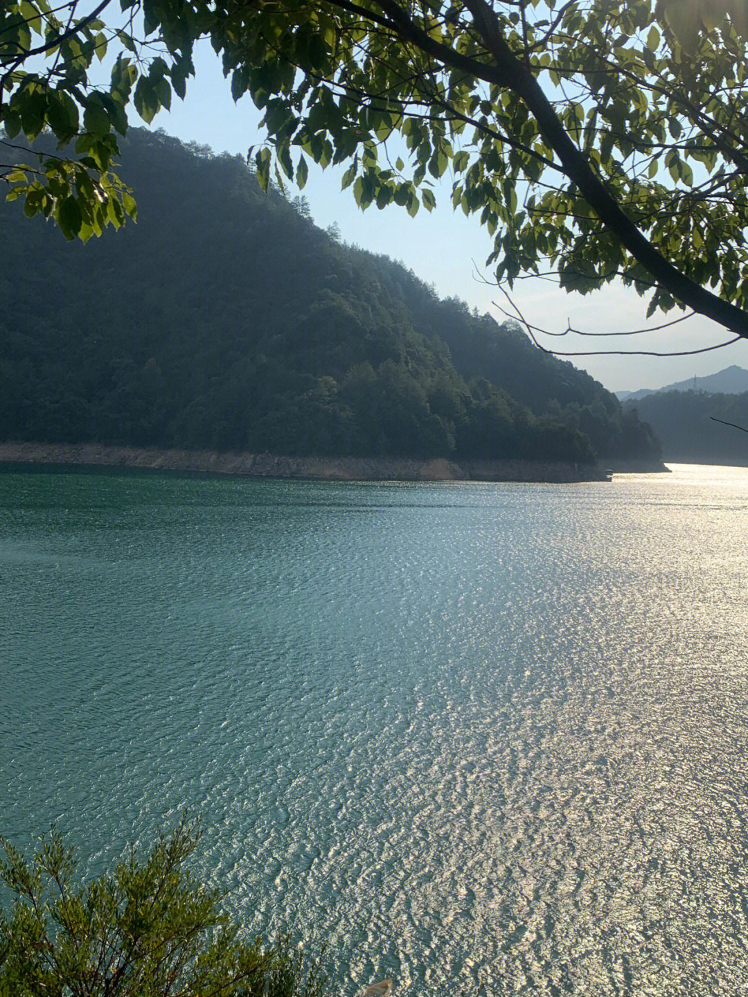 云和湖仙宫景区农家乐图片