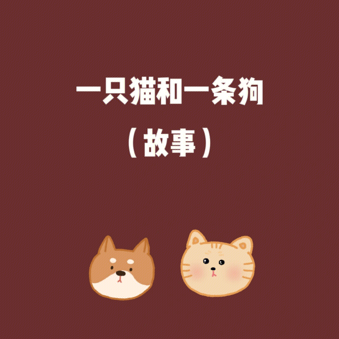 一只猫和一条狗的故事