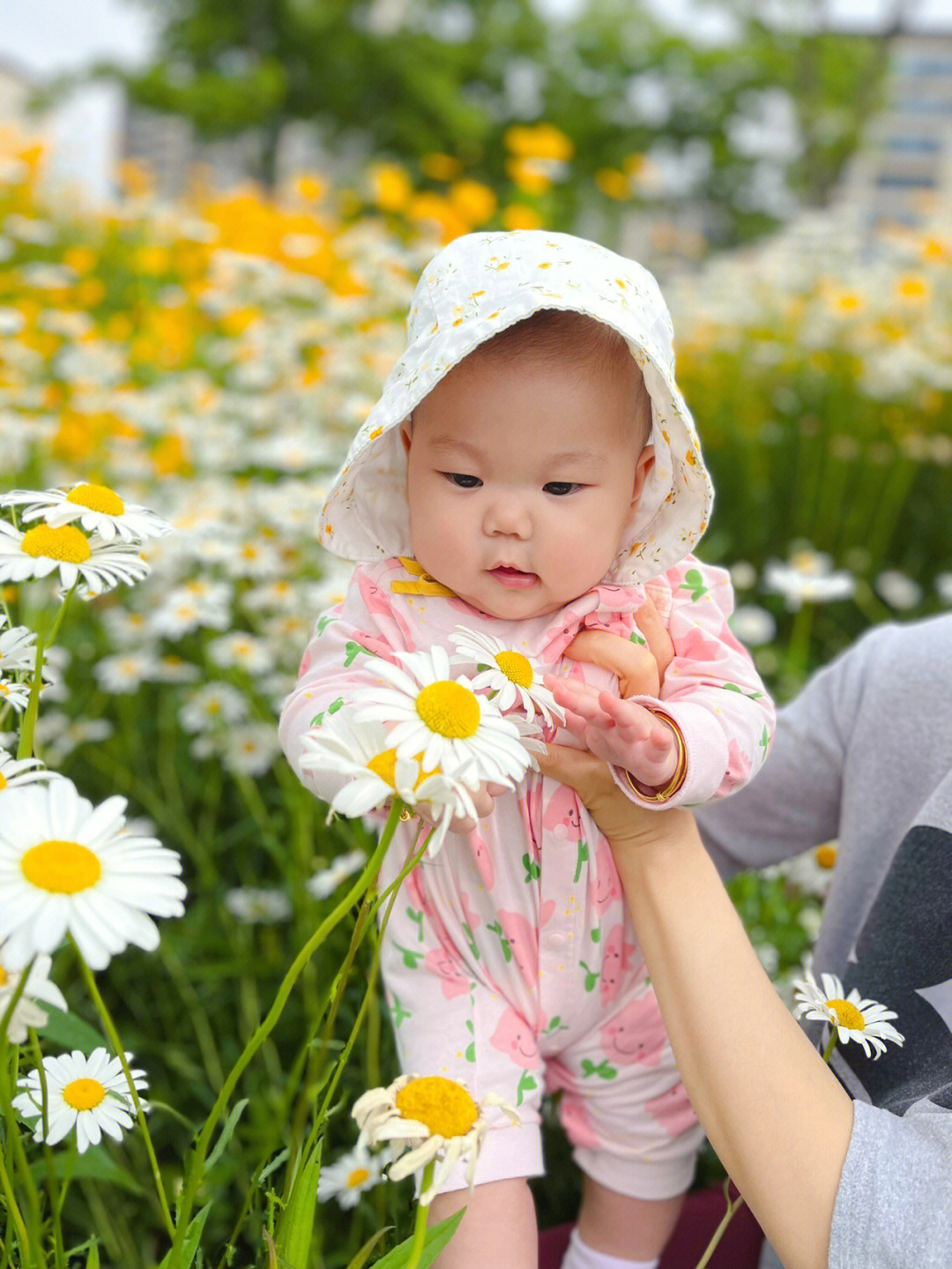 花园宝宝太阳升起图片