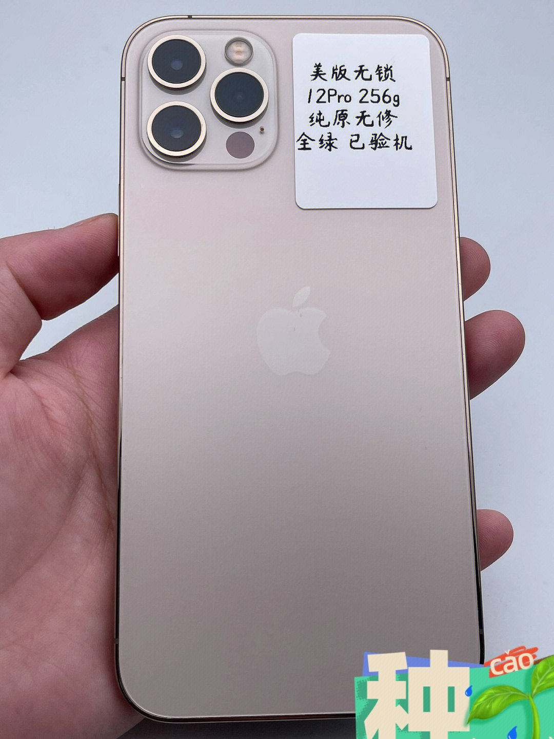 iphone12pro金色掉漆图片