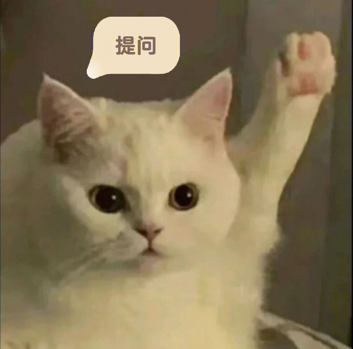 猫咪打咩表情包图片