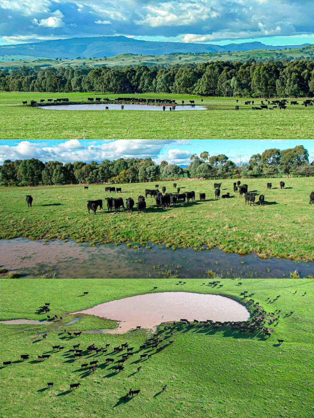 澳大利亚草原气候图片