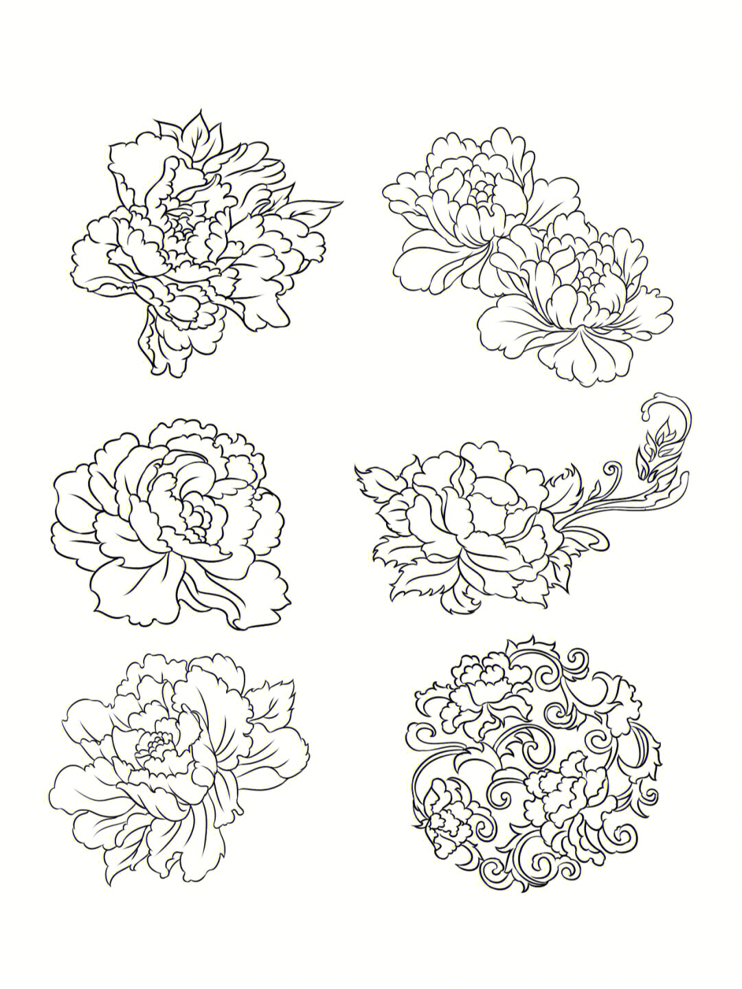 牡丹花刺绣线稿图片