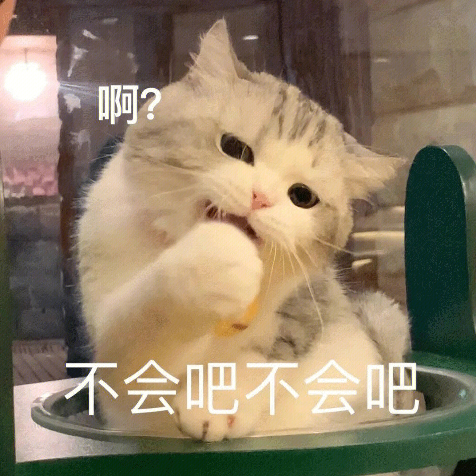 一组小猫咪表情包