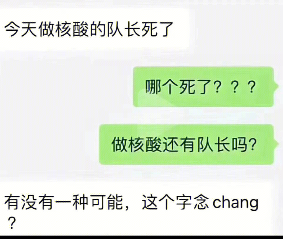 核酸小队长什么意思图片