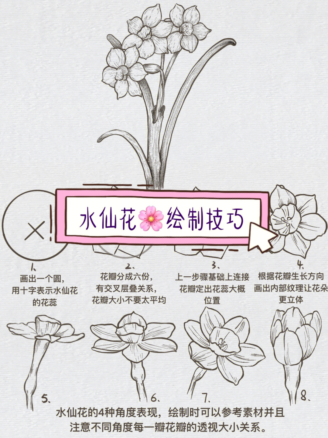 花卉入门水仙花画花必学技巧71简单好学