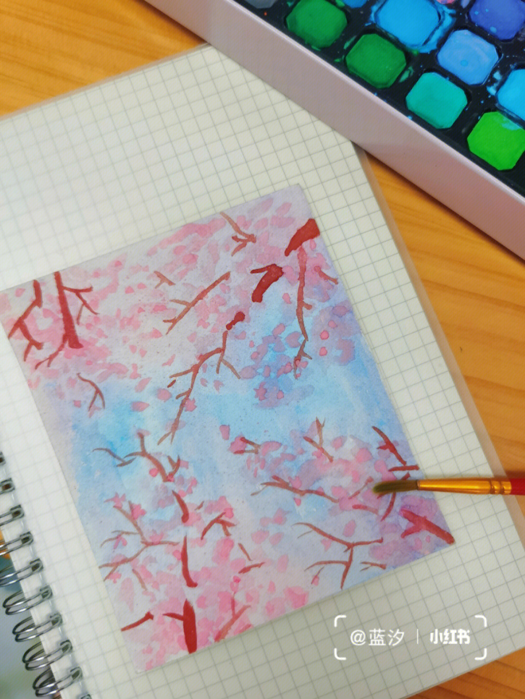 樱花水彩画临摹