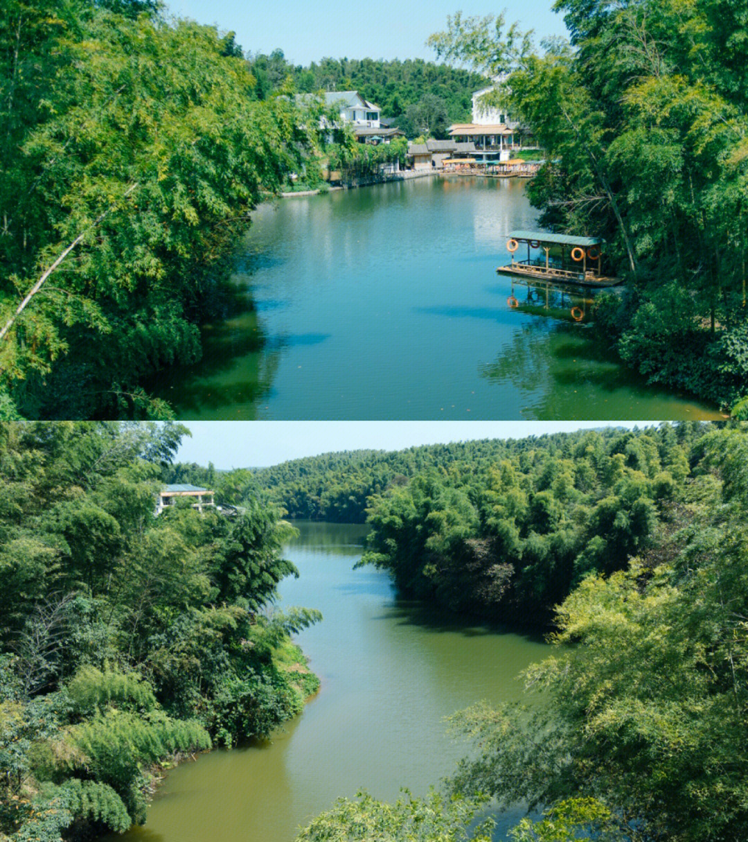 旅行宜宾蜀南竹海