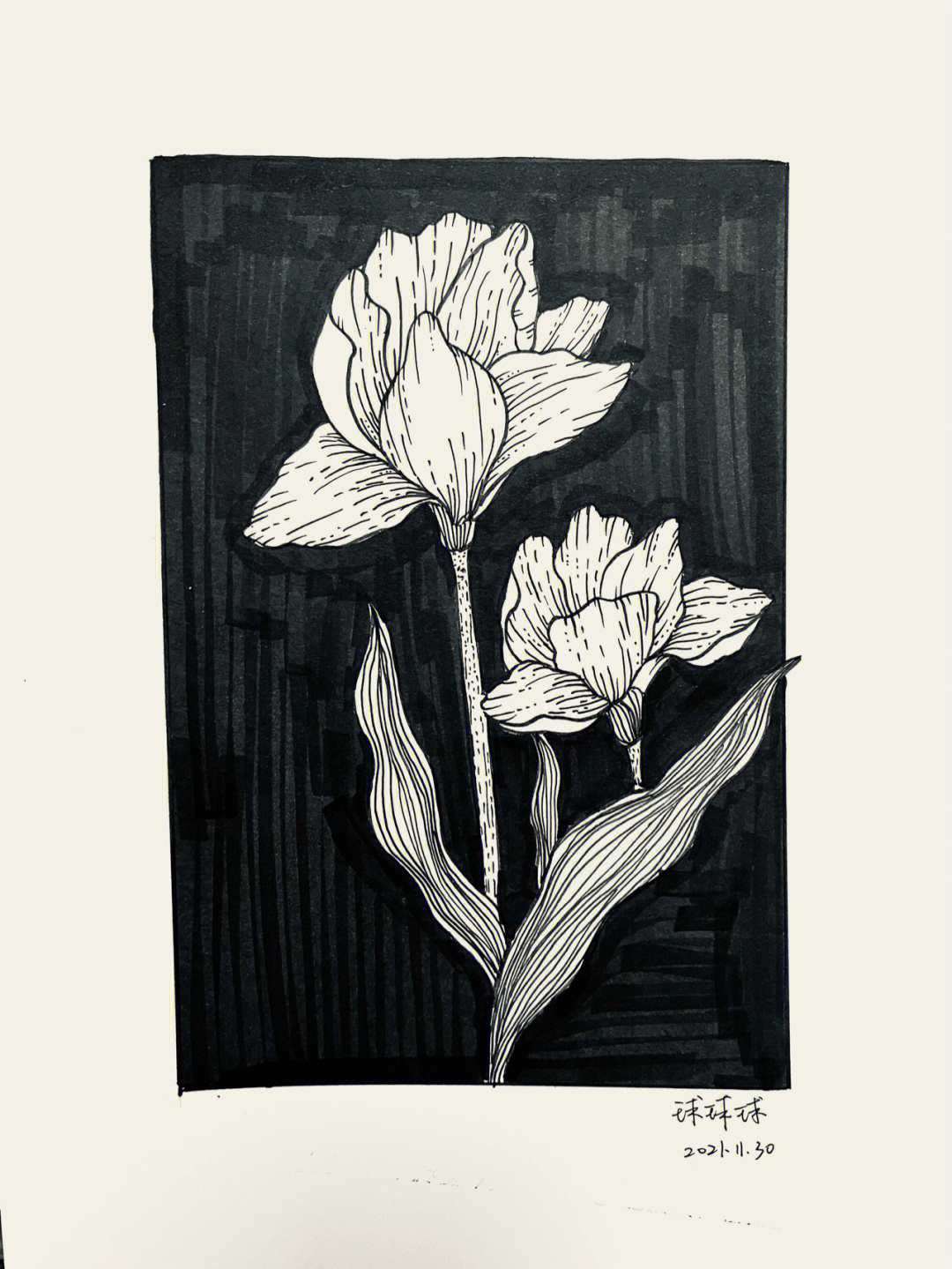 黑白木刻版画简单花朵图片