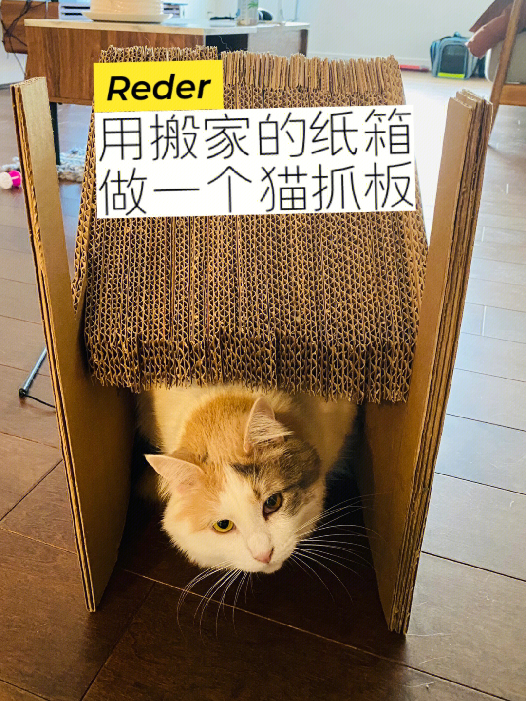 纸箱自制猫笼子图片