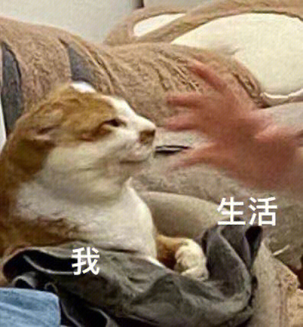 小猫咪也emo住了00